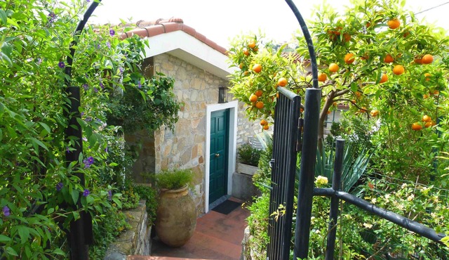 Casa Mimosa - Vacation apartments on the Flower Riviera, decorated with love in Diano San Pietro