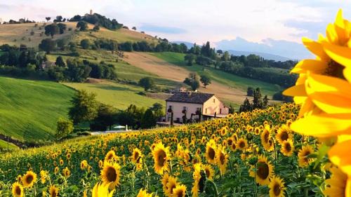 Casale delle Rondini in Tolentino