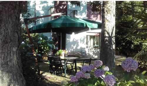 Castelli Romani Montecompatri Apartment in Monte Compatri