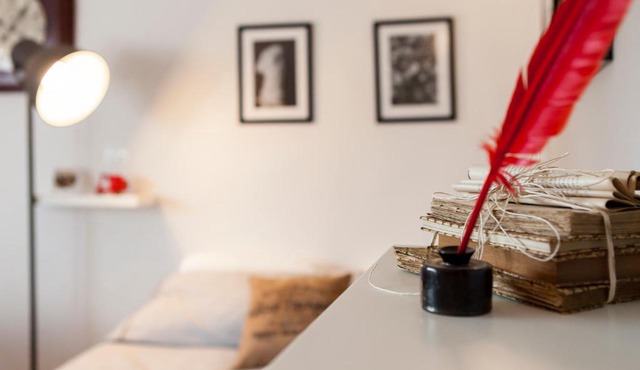 Central Pitti Studio Flat in Florence