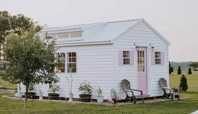 Charming off grid cottage near sports at the beach and local oceans in Georgetown