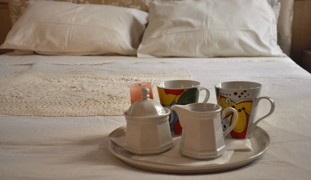 Close to the Duomo and the Uffizi, welcoming and independent on the ground floor in Firenze