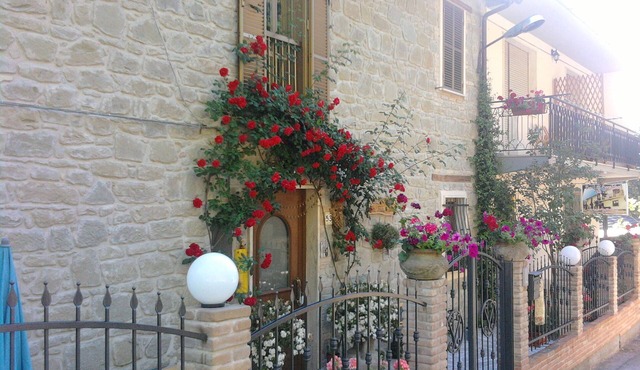 Flower Room