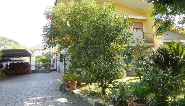 Holiday flat "Casa Luisita" in Seravezza
