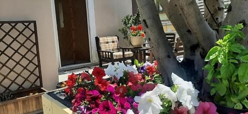 Holiday House NELLINA in Boscoreale