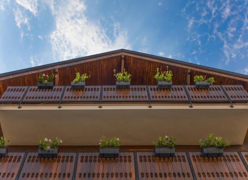 Hotel Dolomiti in Castelmezzano