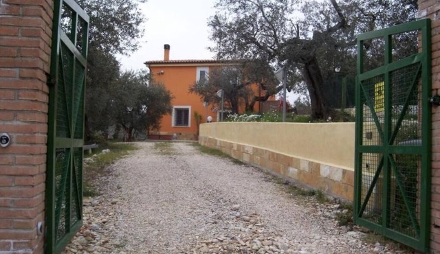 House in the countryside surrounded by olive trees, with garden and terrace