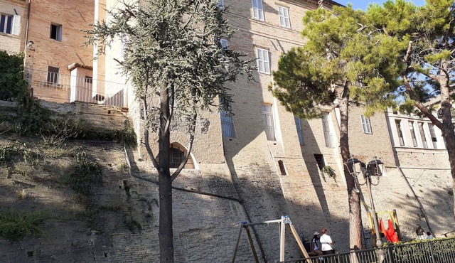 House marconi avenue in monte san pietrangeli