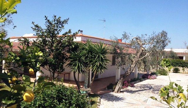 House/Villa - Martano - Luxury Apartment in Martano