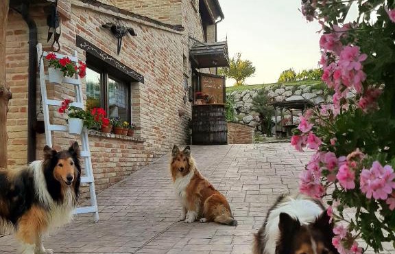 Il Casale dell'Acquabona in Montefano