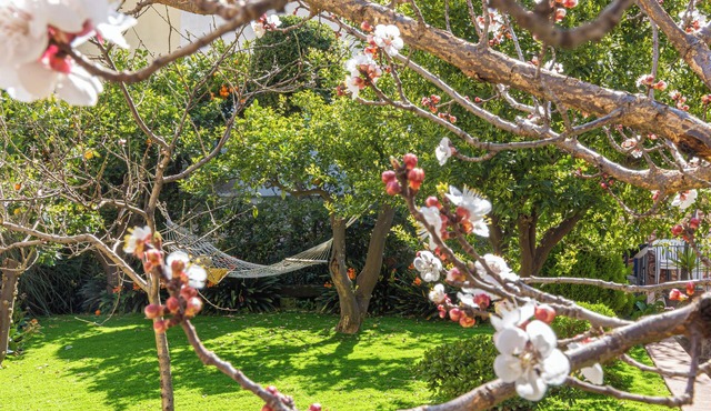 Il giardino dei Gigli, few steps from the sea