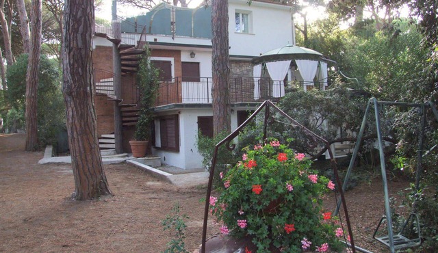 Bougainvillea 3+2 - One Bedroom Apartment, Sleeps 5 in Marina di Castagneto Carducci