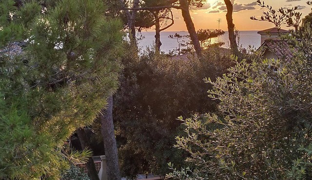Villa surrounded by greenery at 300 meters from the sea in Rosignano Solvay-Castiglioncello