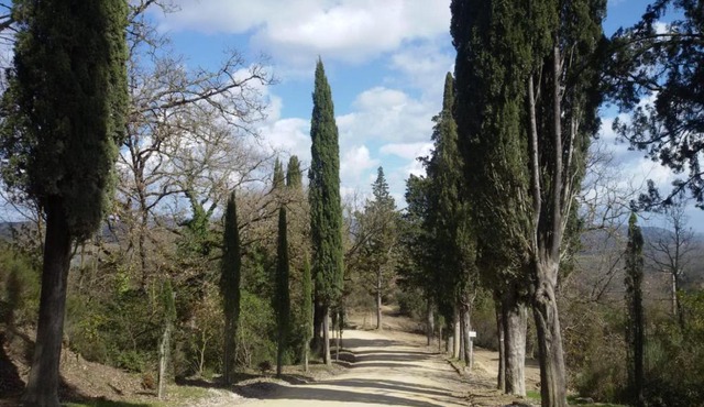 La Campesa in Vagliagli