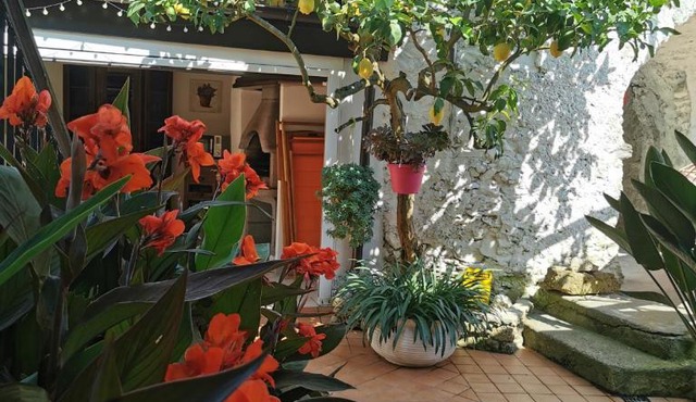 "Lemon Tree House"for Climbers and Mtb in Orco Feglino