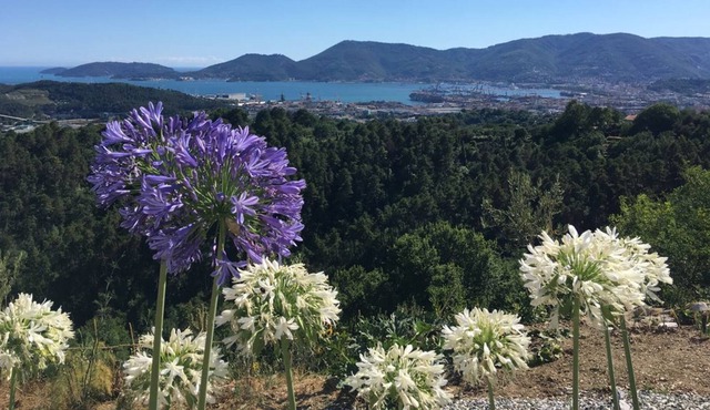 Luxury apartment with sea view near the Cinque Terre "Slow Tourism" in la spezia
