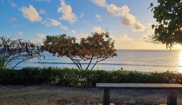 Mel's Art Place by Coastal View7