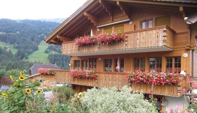Morgenstern by Interhome in St Stephan