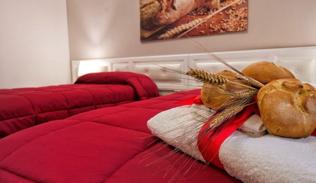 PaneAmore - Vacation Home Rental -