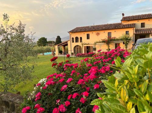Podere agli Arrighi in Signa