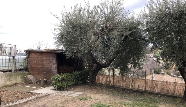 Quiet and absolute in Belmonte Piceno