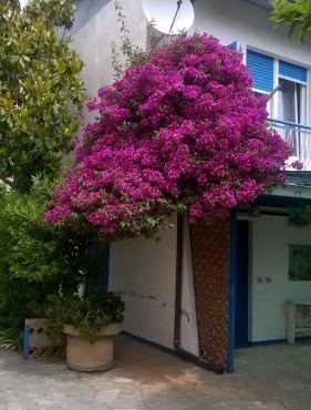 SanBart Villetta con Giardino in San Bartolomeo al Mare
