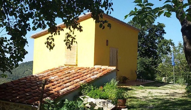 Small fine bright apartment in the green with sea view