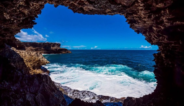 Spacious Unit Minutes to Morgan Lewis Windmill! FREE Parking, Pool, Game Room!