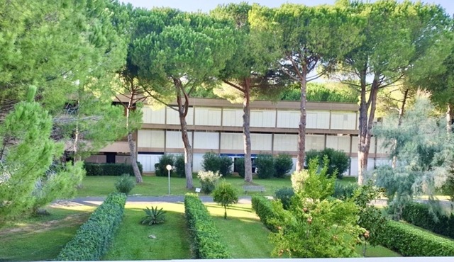 Studio apartment for 3 people (30 mq.) consisting of a living room with kitchenette, double or twin sofa bed and single or twin sofa bed, bathroom with shower.They can be on the ground floor or first floor.Balcony or garden equipped with table and chairs in Marina di Bibbona