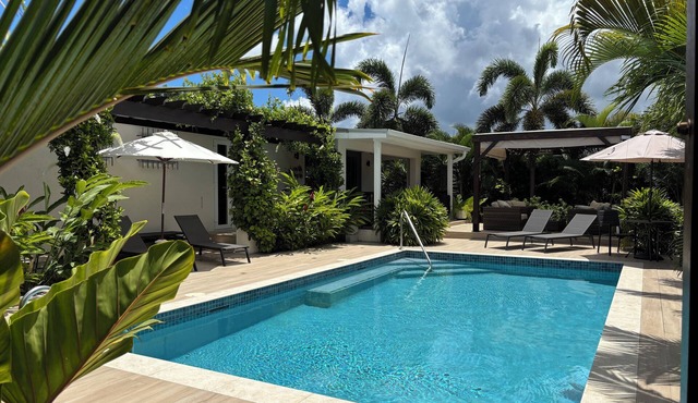 Stunning newly renovated home with pool and gardens
