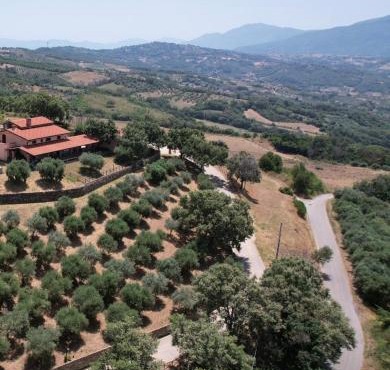 Tenuta Raimo