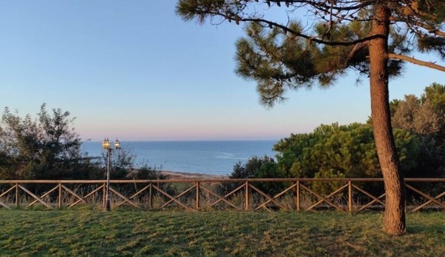 The Fox In The Pine Forest in Vasto