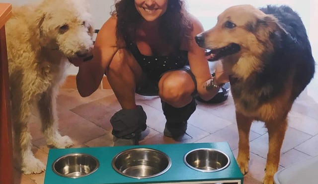 The house of dog trekking Cozy vacation home a stone's throw from rome in Piglio
