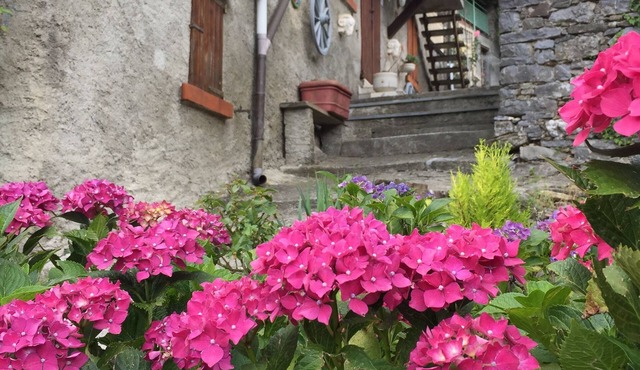 Typical Tuscany Village House, small private pool and relax in San Rocco in Turrite