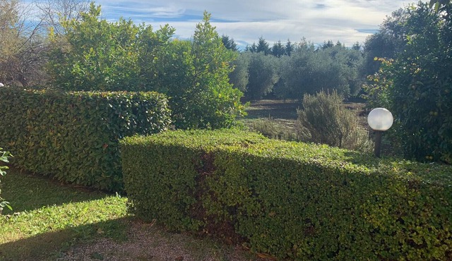 VILLA DEGLI ARCHI - RELAXATION AND PEACE in Abruzzo