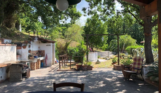 Villa IMMERSED in GREEN in the hills 1 km from the SEA in Campania