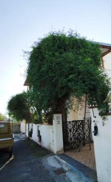 Villa Maria in Torre Forte