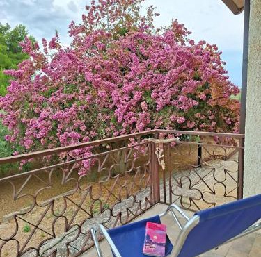 White Cottage - WelcHome in Mozzagrogna