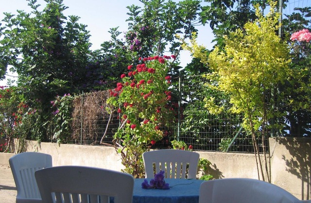 Accommodation Briatico 