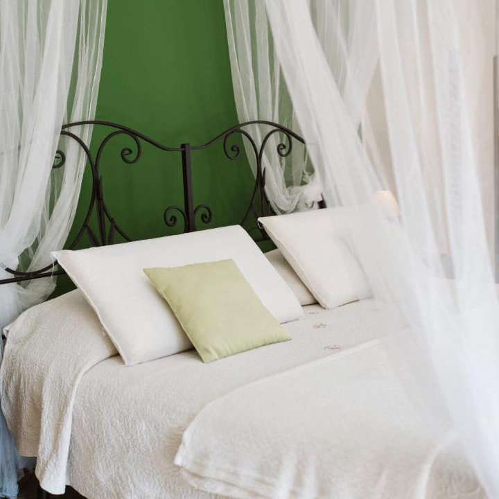 Casal Velino House | Agriturismo San Giorgio