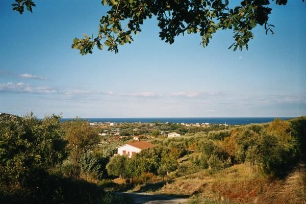 Photo of Outdoor in Alani
