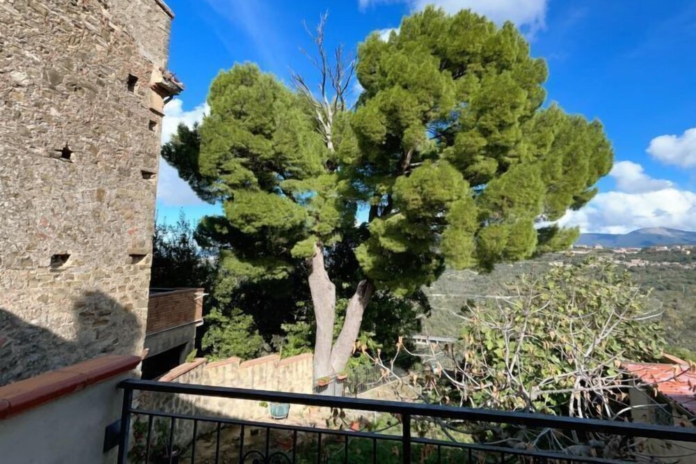 Photo of Others in Torchiara