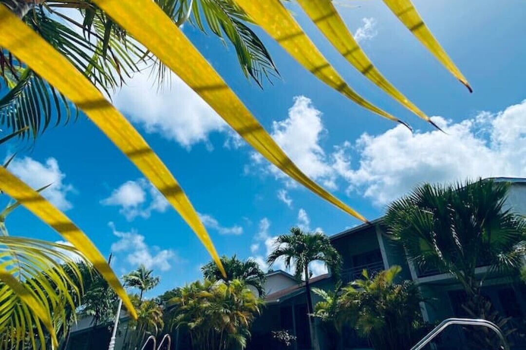 Photo of Outdoor in Sandy Lane