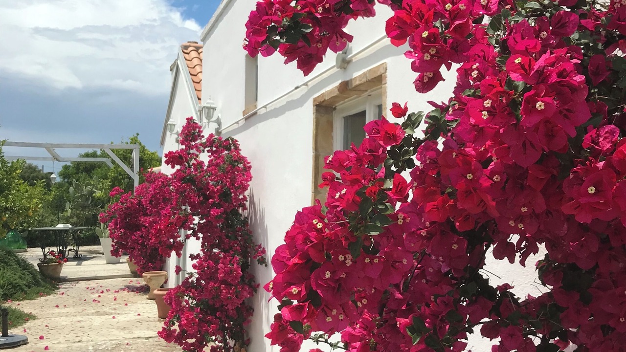 Photo of Outdoor in Pisticci