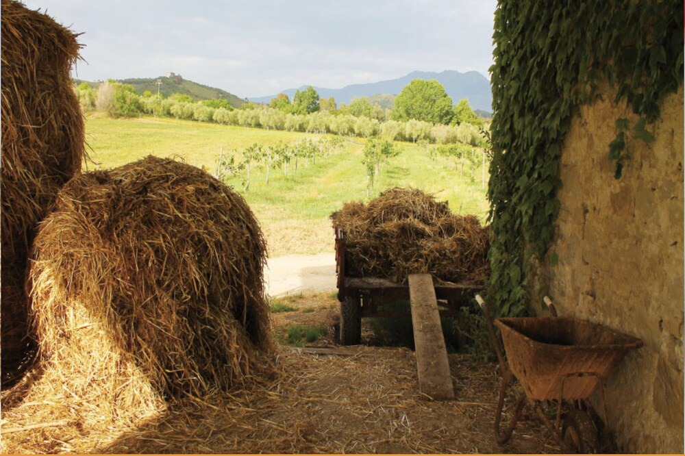Photo of Others in Ceraso