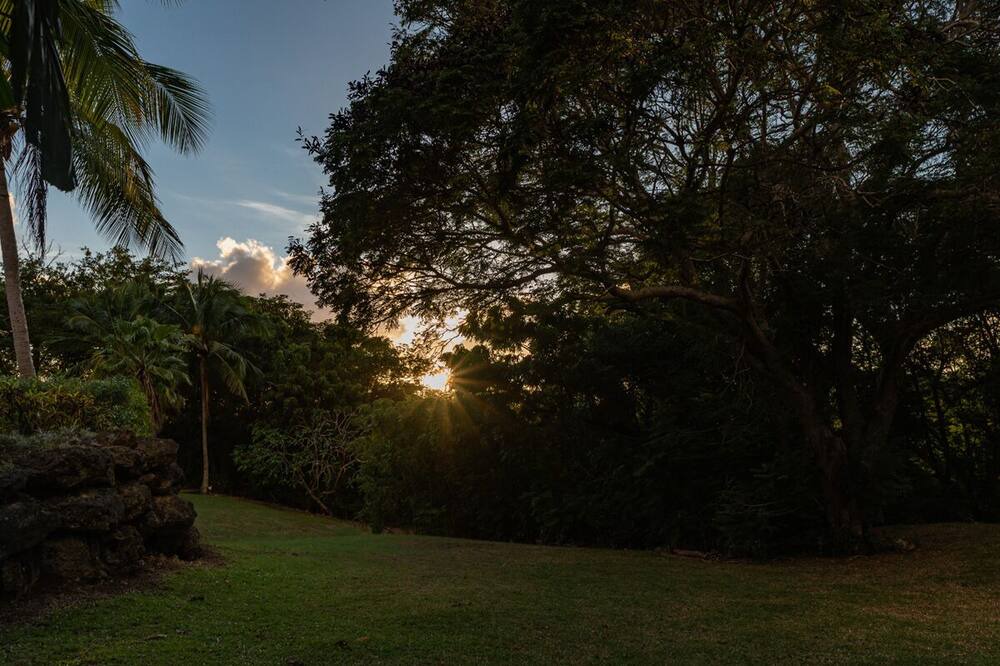 Photo of Others in Sandy Lane