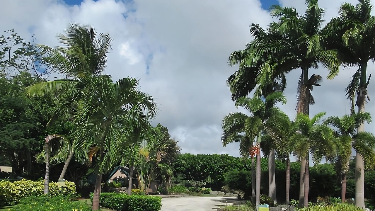 Photo of Outdoor in Rendezvous