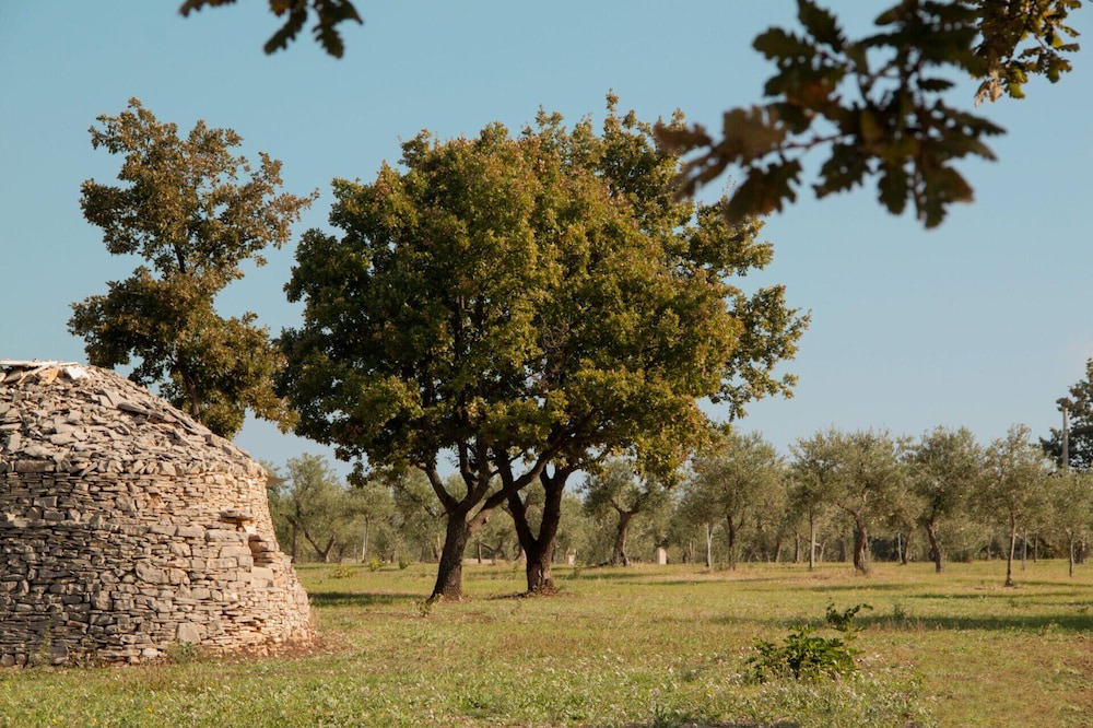 Photo of Others in Montegrosso