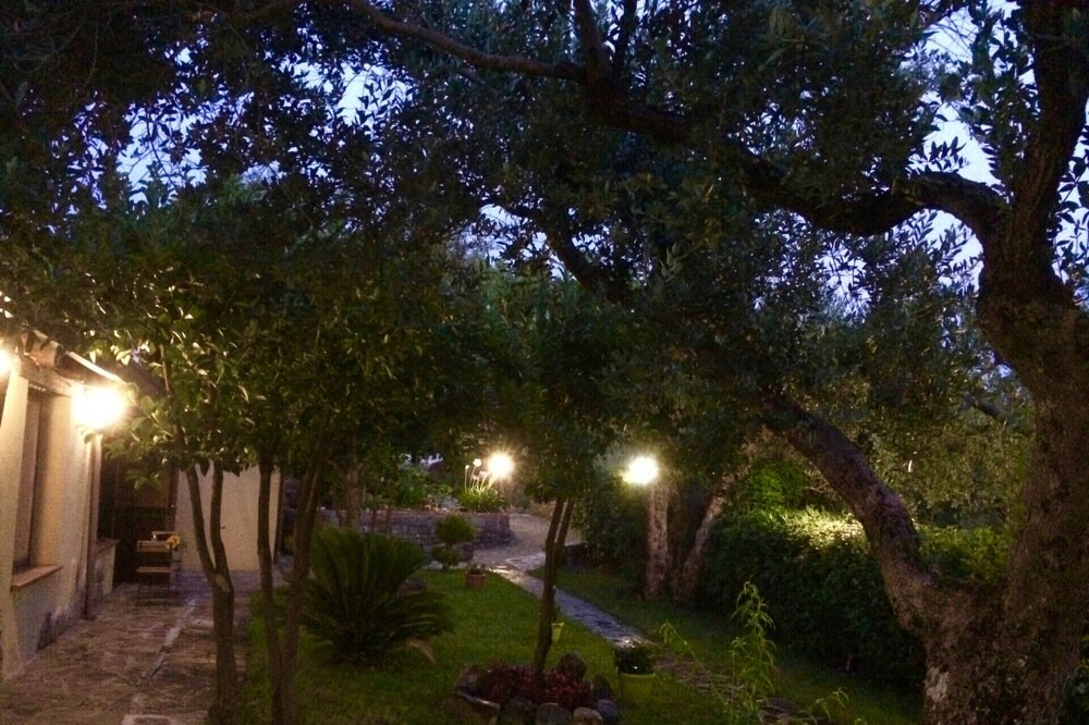 Photo of Outdoor in Gioi
