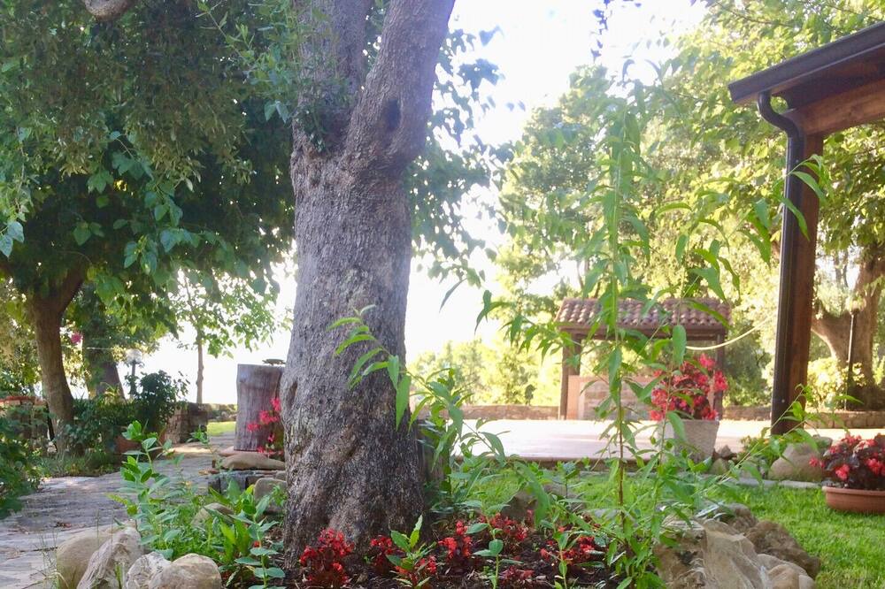 Photo of Outdoor in Gioi